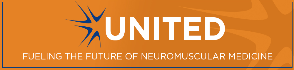 United Website banner